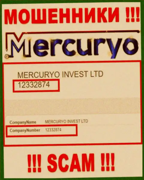 Регистрационный номер противоправно действующей компании Mercuryo - 12332874