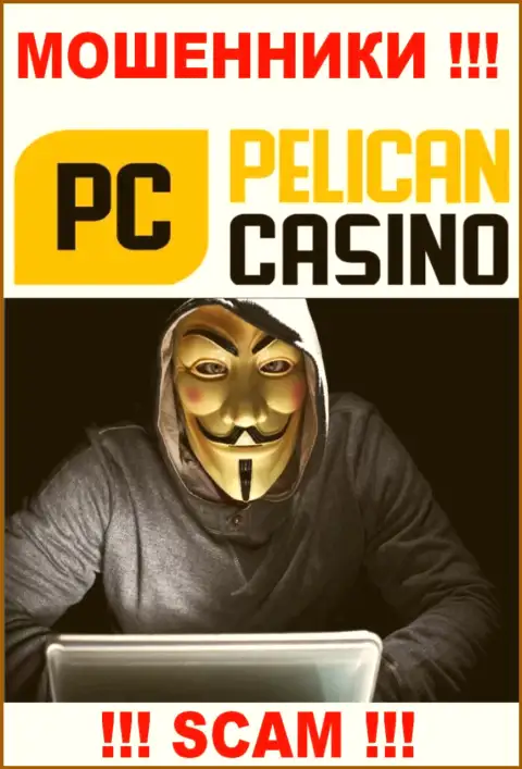 Лица управляющие конторой PelicanCasino Games предпочли о себе не рассказывать