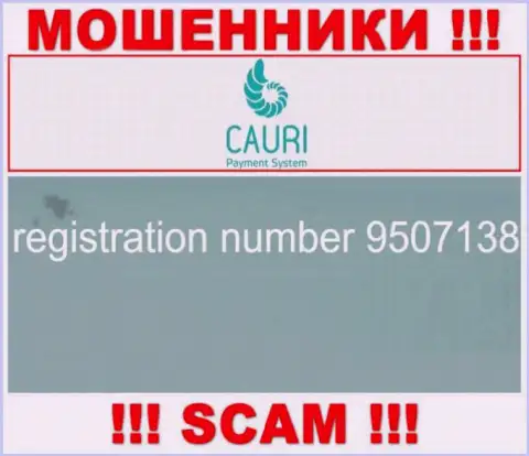 Регистрационный номер, который принадлежит неправомерно действующей компании Каури Ком: 9507138