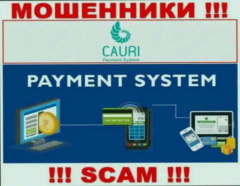 Мошенники Cauri Com, работая в области Платежная система, сливают наивных клиентов