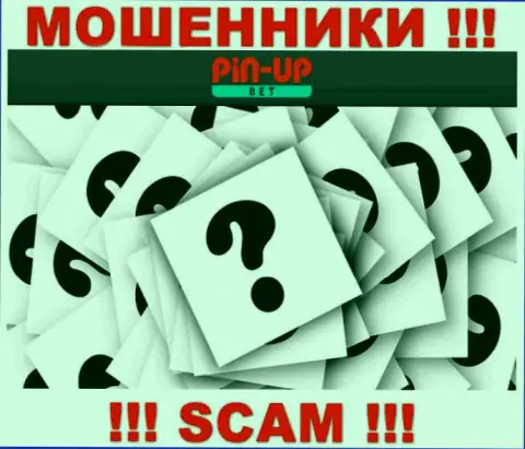 На web-сайте PinUp Bet не представлены их руководители - обманщики без последствий воруют денежные средства