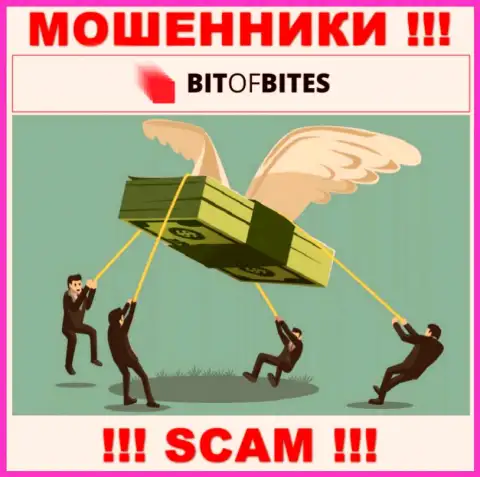 Не работайте с дилинговой организацией BitOfBites Com - не станьте еще одной жертвой их мошеннических комбинаций