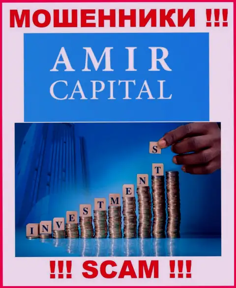 Не отправляйте денежные активы в Амир Капитал, сфера деятельности которых - Инвестирование