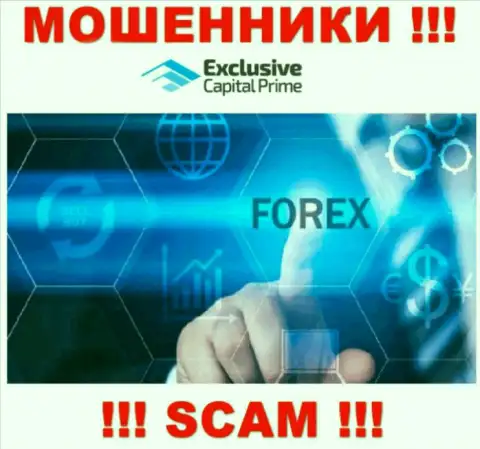FOREX - это направление деятельности преступно действующей компании Exclusive Capital