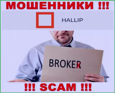 Сфера деятельности internet мошенников Hallip Com это Брокер, однако помните это кидалово !!!