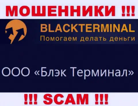 На официальном информационном сервисе BlackTerminal сообщается, что юридическое лицо организации - ООО Блэк Терминал