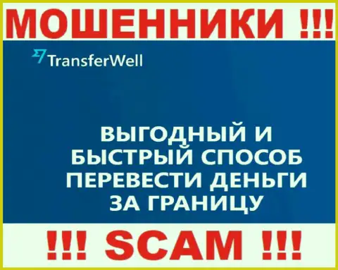 Не стоит верить, что работа TransferWell Net в области Система платежей законная