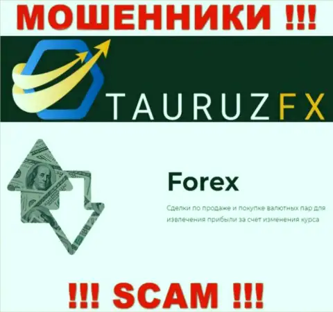 Forex - это то, чем промышляют мошенники TauruzFX