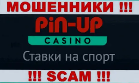 Основная деятельность Pin Up Casino - это Казино, будьте крайне внимательны, промышляют неправомерно
