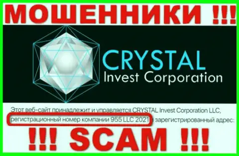 Регистрационный номер организации CRYSTAL Invest Corporation LLC, возможно, что и липовый - 955 LLC 2021