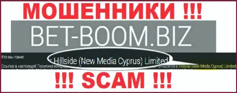 Юридическим лицом, владеющим internet жуликами Bet Boom Biz, является Hillside (New Media Cyprus) Limited