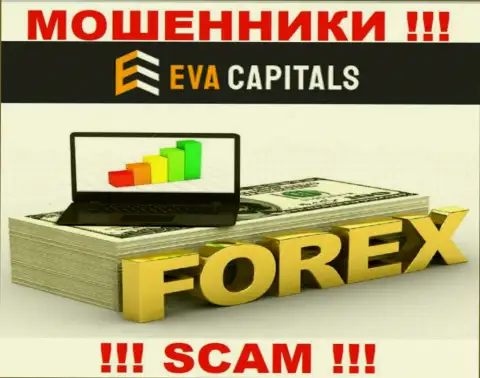 Forex - это именно то, чем промышляют интернет мошенники Eva Capitals