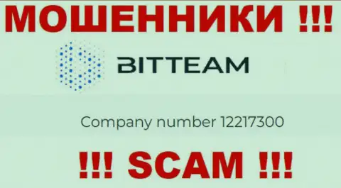 Регистрационный номер организации BitTeam - 12217300