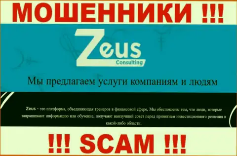 Направление деятельности мошенников Зевс Консалтинг - это Консалтинг, однако помните это обман !!!