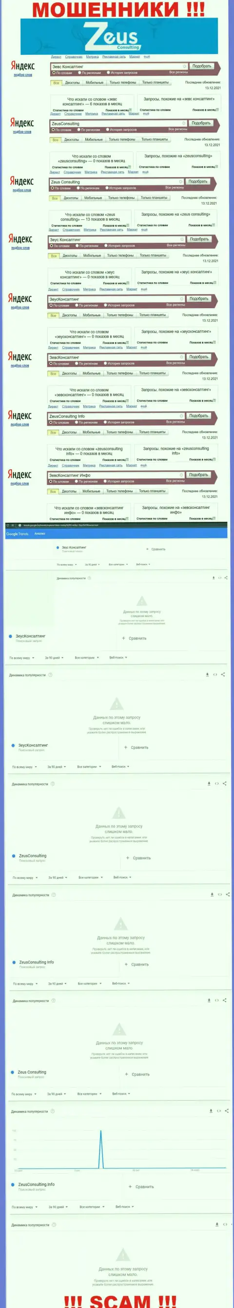 Сколько раз посетители сети пытались найти данные о мошенниках Zeus Consulting ???