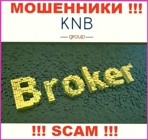 Сфера деятельности незаконно действующей конторы KNB Group - это Брокер