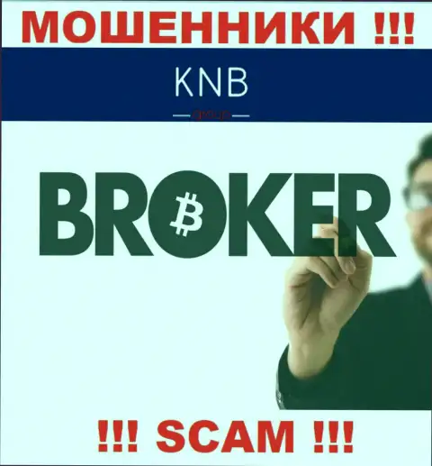 Брокер - в таком направлении предоставляют услуги интернет воры KNB-Group Net
