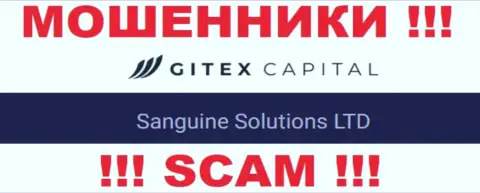Юр. лицо GitexCapital это Sanguine Solutions LTD, такую информацию разместили обманщики на своем сайте