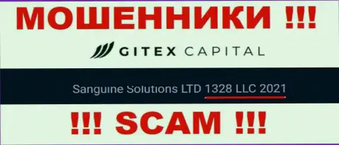 Номер регистрации компании GitexCapital Pro: 1328 LLC 2021