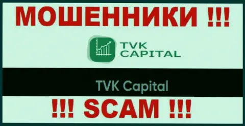 TVK Capital - это юридическое лицо internet мошенников TVK Capital