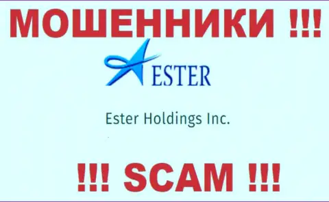 Инфа об юридическом лице кидал Ester Holdings