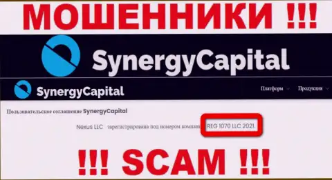 Номер регистрации организации Synergy Capital: REG 1070 LLC 2021