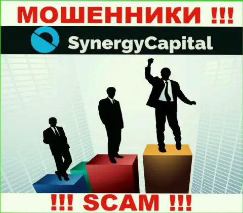 Synergy Capital предпочитают оставаться в тени, сведений о их руководителях Вы найти не сможете