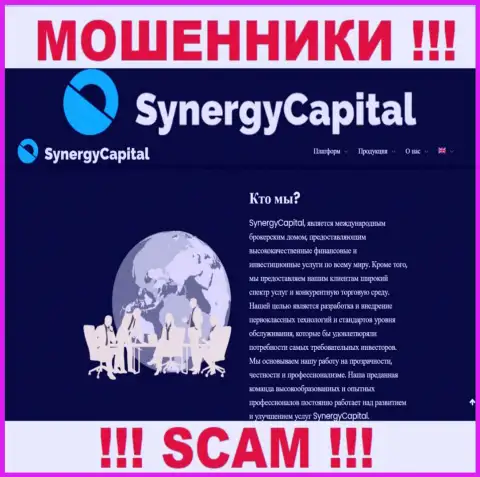 Что касательно области деятельности Synergy Capital (Брокер) - это несомненно кидалово