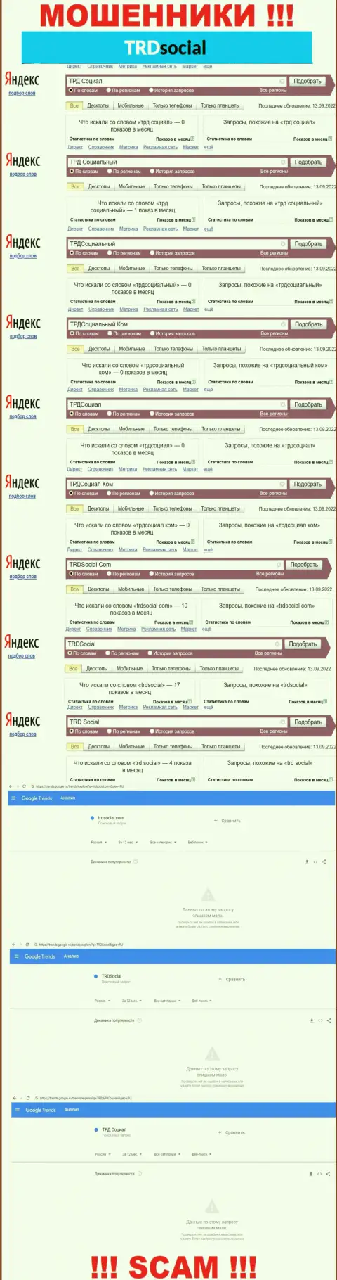 Информация по поисковым запросам бренда ТРД Социальный, взятая из сети Интернет