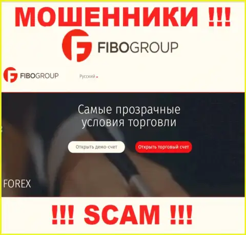 Тип деятельности организации Fibo Group - это капкан для лохов