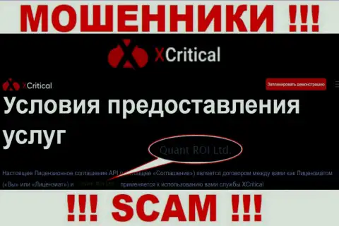 Сомнительная контора X Critical в собственности такой же опасной организации Quant ROI LTD