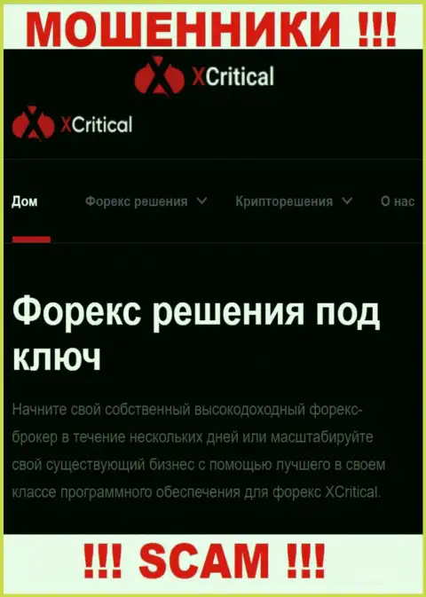 X Critical - это подозрительная организация, направление деятельности которой - ФОРЕКС