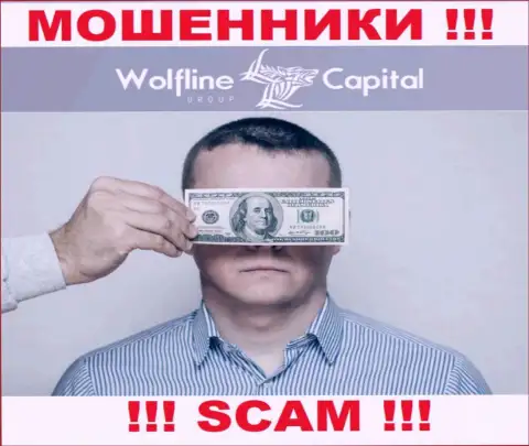 Деятельность Wolfline Capital НЕЗАКОННА, ни регулятора, ни лицензионного документа на право осуществления деятельности нет