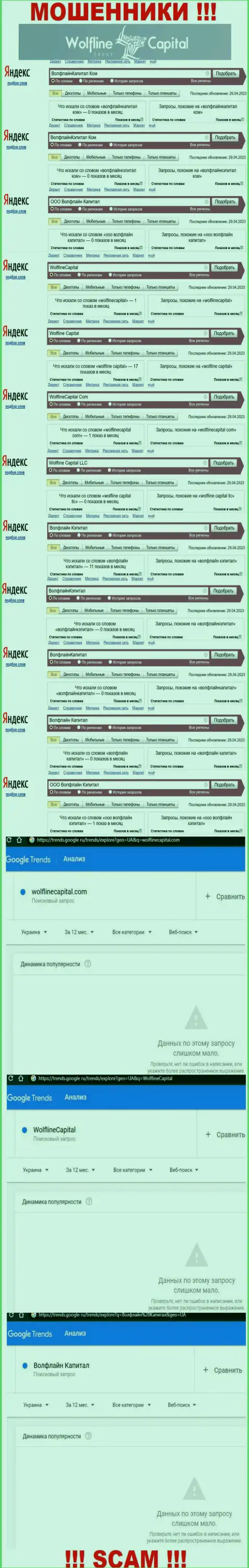 Статистические сведения о количестве поисковых запросов информации о мошенниках Wolfline Capital