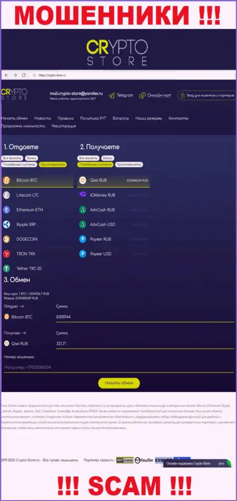 Официальный интернет-ресурс воров Crypto Store, переполненный инфой для доверчивых людей