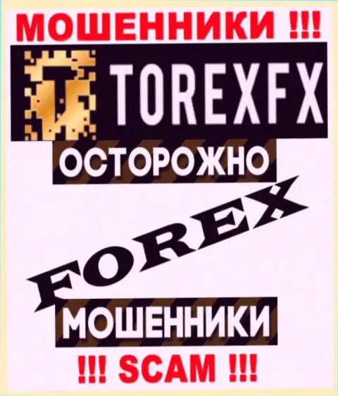 Область деятельности TorexFX 42 Marketing Limited: ФОРЕКС - хороший заработок для internet-мошенников